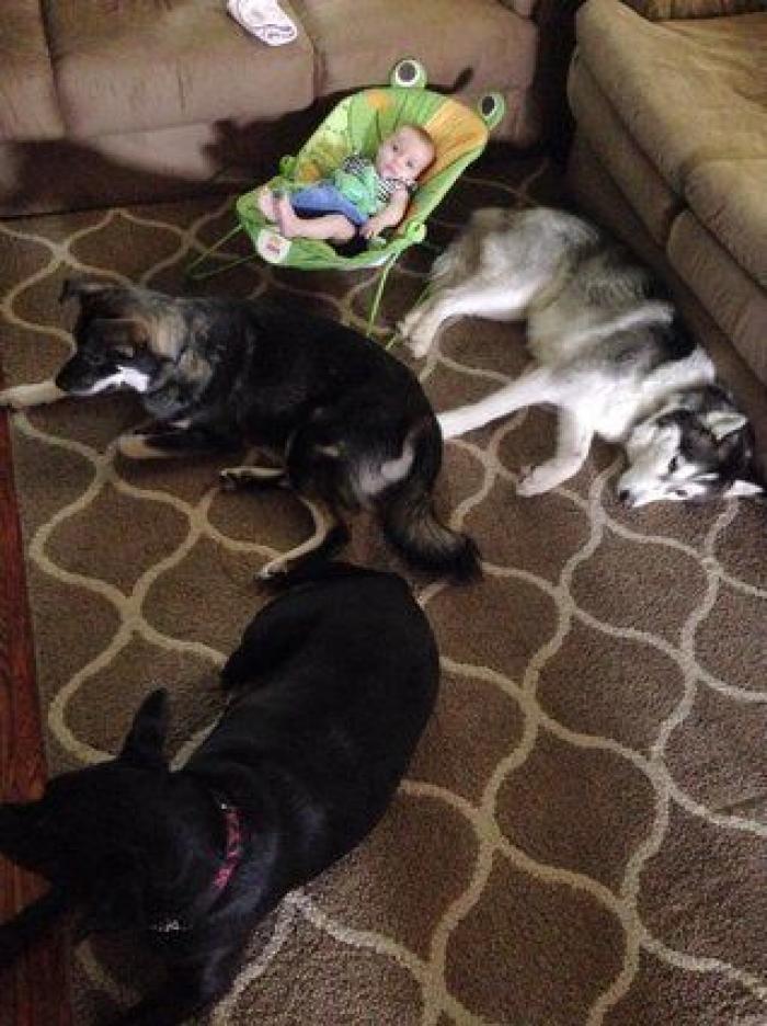 La foto de la casa de Anna Simon ('Zapeando') que debería llamar a la reflexión: "Triste tener que llegar a esto"