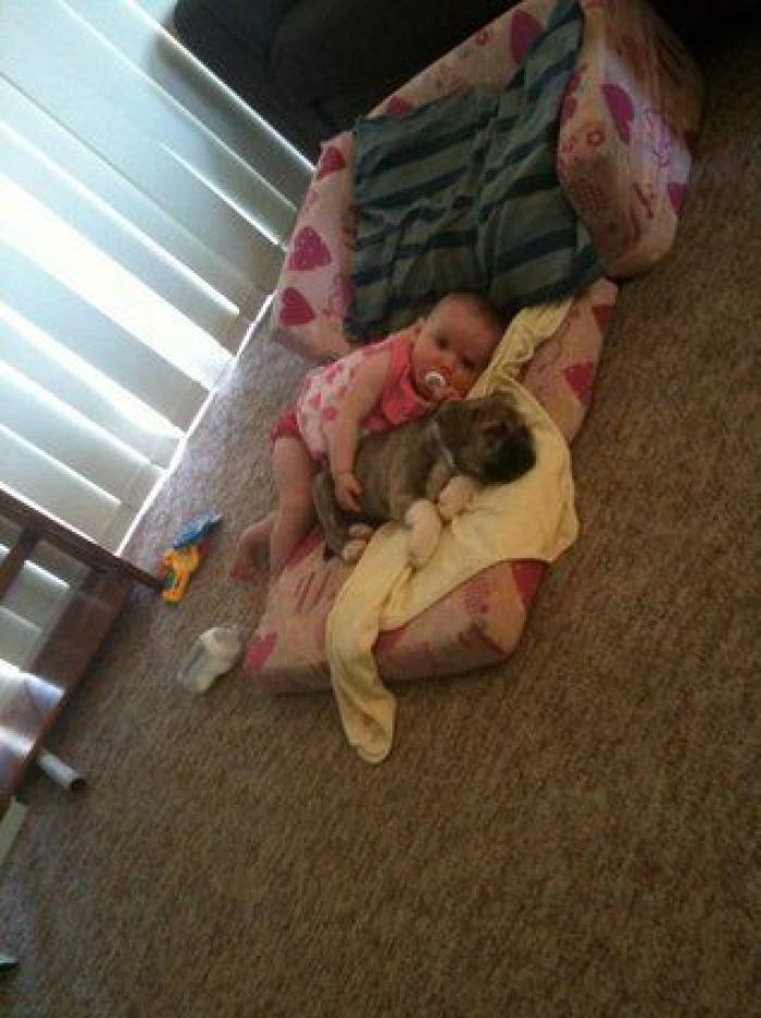 La foto de la casa de Anna Simon ('Zapeando') que debería llamar a la reflexión: "Triste tener que llegar a esto"