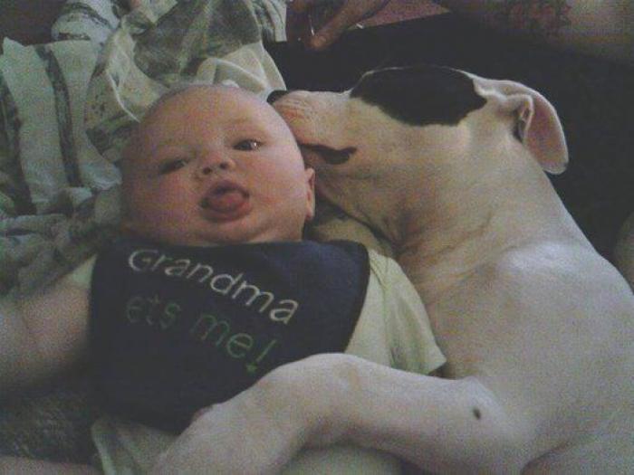 La foto de la casa de Anna Simon ('Zapeando') que debería llamar a la reflexión: "Triste tener que llegar a esto"