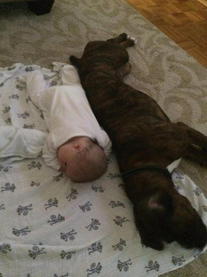 La foto de la casa de Anna Simon ('Zapeando') que debería llamar a la reflexión: "Triste tener que llegar a esto"