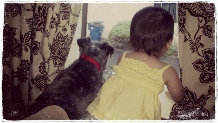 La foto de la casa de Anna Simon ('Zapeando') que debería llamar a la reflexión: "Triste tener que llegar a esto"