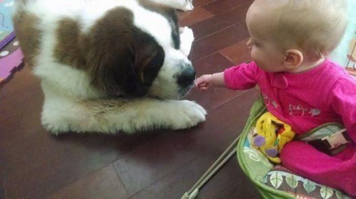 La foto de la casa de Anna Simon ('Zapeando') que debería llamar a la reflexión: "Triste tener que llegar a esto"