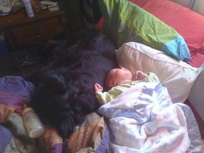 La foto de la casa de Anna Simon ('Zapeando') que debería llamar a la reflexión: "Triste tener que llegar a esto"