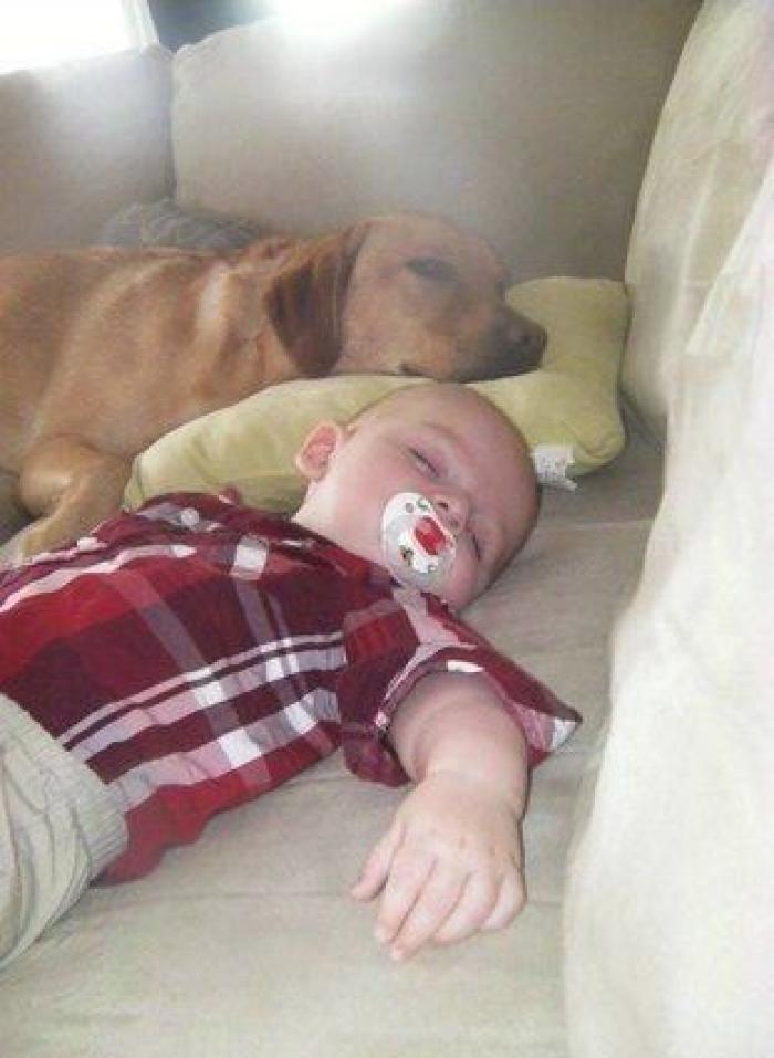 La foto de la casa de Anna Simon ('Zapeando') que debería llamar a la reflexión: "Triste tener que llegar a esto"