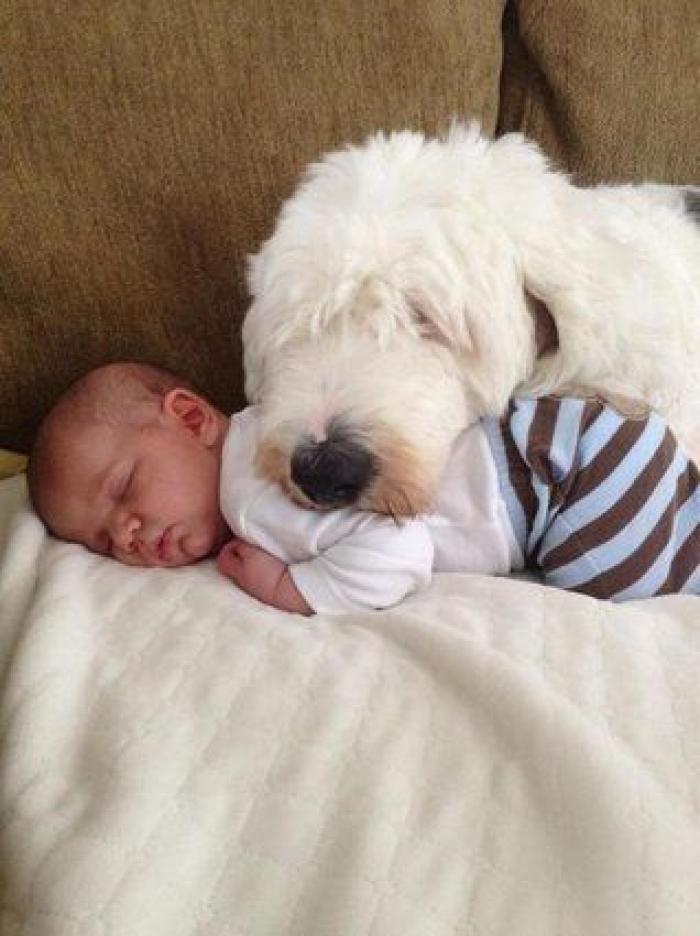 La foto de la casa de Anna Simon ('Zapeando') que debería llamar a la reflexión: "Triste tener que llegar a esto"