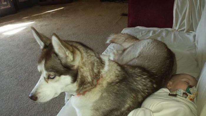 La foto de la casa de Anna Simon ('Zapeando') que debería llamar a la reflexión: "Triste tener que llegar a esto"