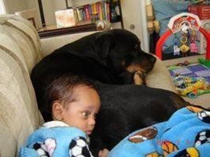 La foto de la casa de Anna Simon ('Zapeando') que debería llamar a la reflexión: "Triste tener que llegar a esto"