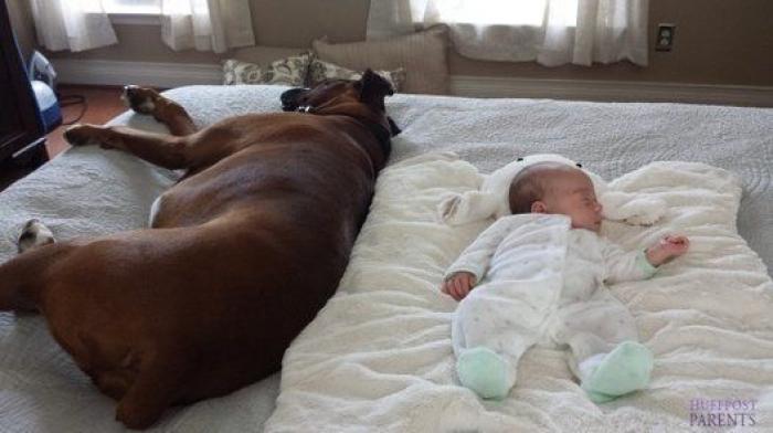 La foto de la casa de Anna Simon ('Zapeando') que debería llamar a la reflexión: "Triste tener que llegar a esto"