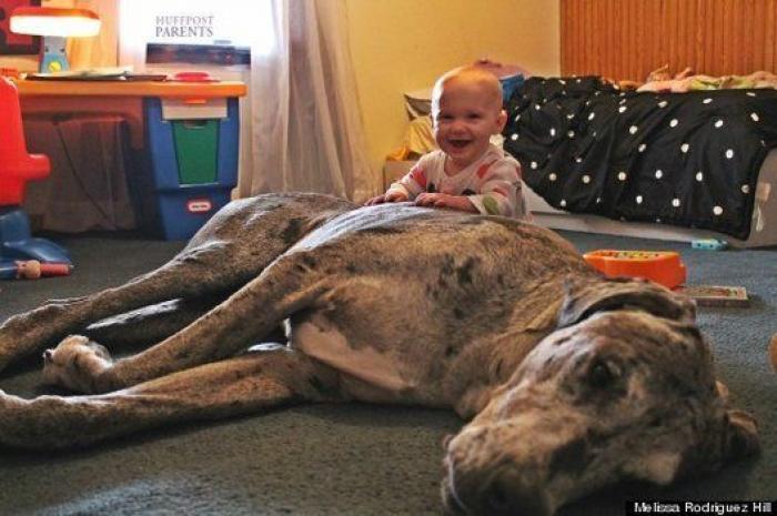 La foto de la casa de Anna Simon ('Zapeando') que debería llamar a la reflexión: "Triste tener que llegar a esto"