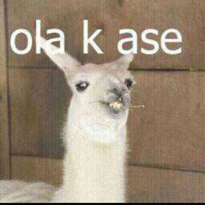 El detenido por ir a 228 km/hora en un Lamborghini en una carretera secundaria puede que te suene