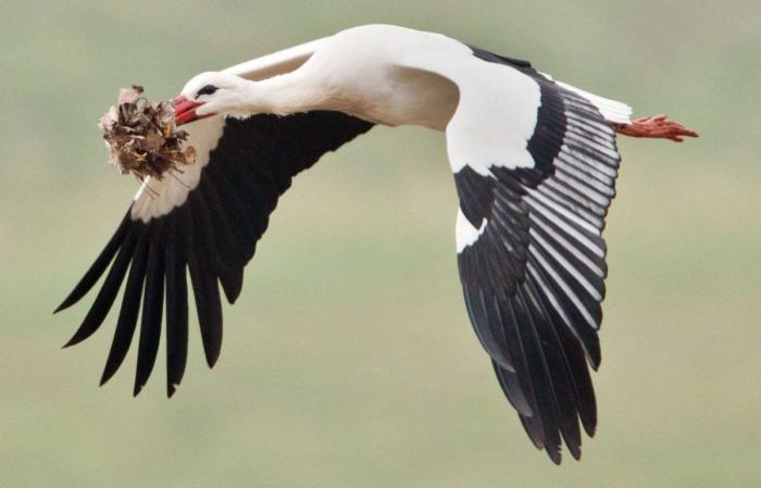 Por qué es mejor vivir sin una causa que defender