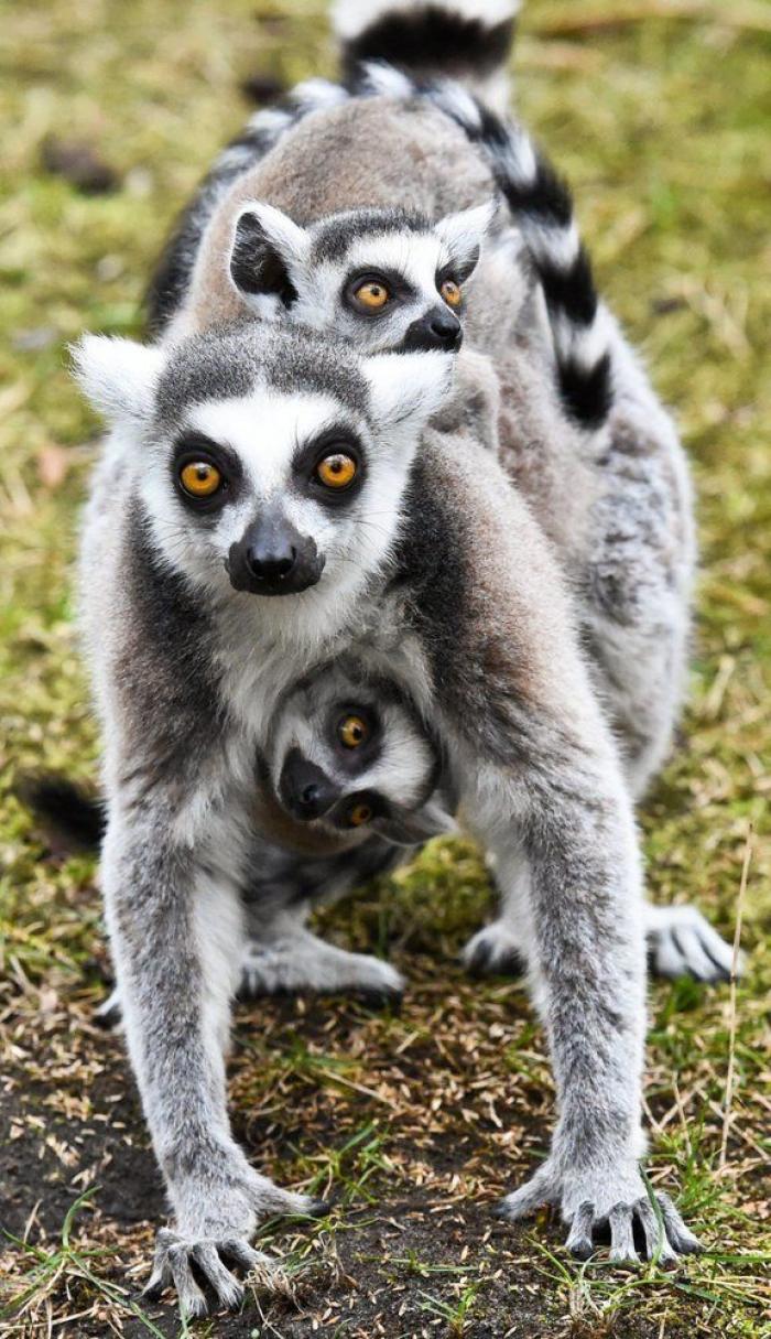 Por qué es mejor vivir sin una causa que defender
