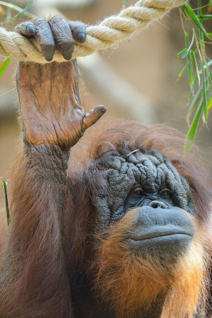 Por qué es mejor vivir sin una causa que defender