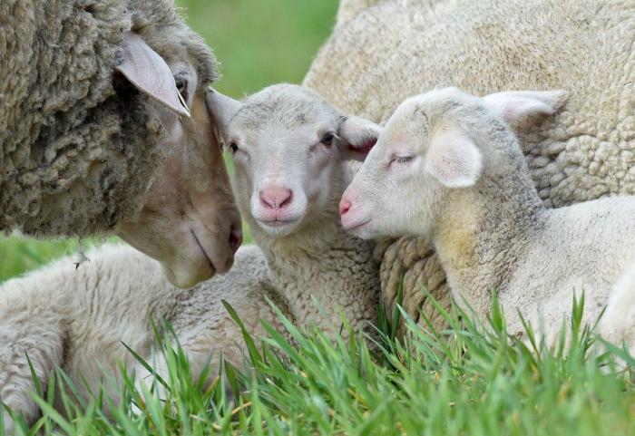 Por qué es mejor vivir sin una causa que defender