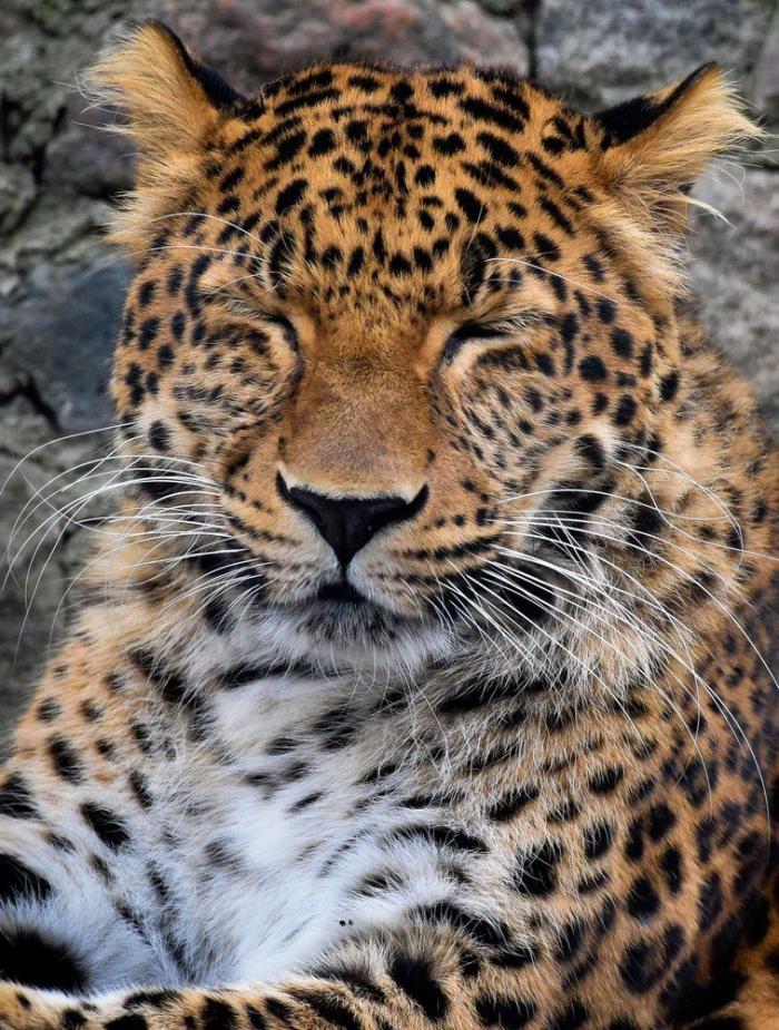 Por qué es mejor vivir sin una causa que defender