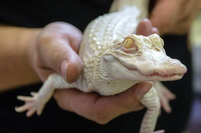 Por qué es mejor vivir sin una causa que defender