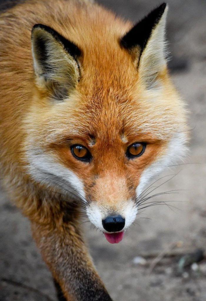 Por qué es mejor vivir sin una causa que defender