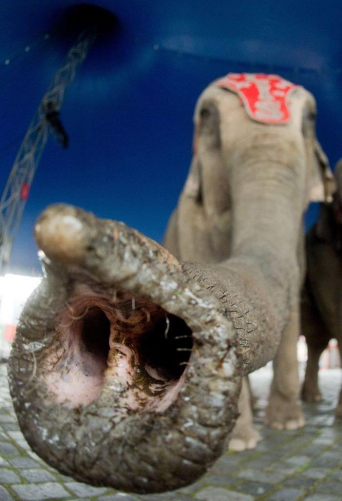 Por qué es mejor vivir sin una causa que defender