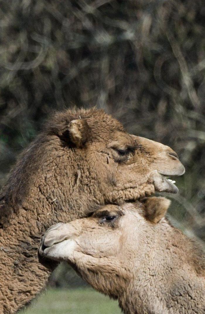 Por qué es mejor vivir sin una causa que defender