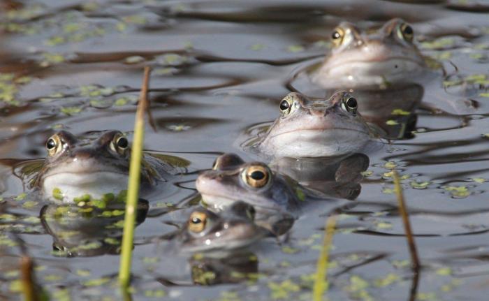 Por qué es mejor vivir sin una causa que defender