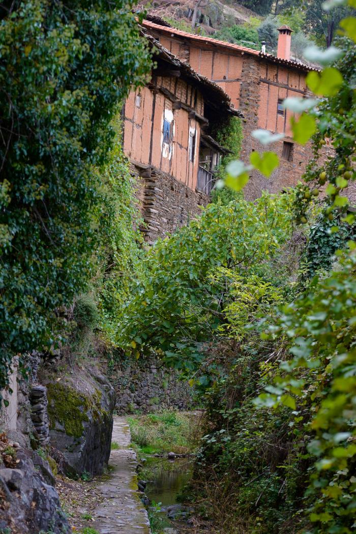 El doble resurgir de la España rural: la pandemia fomenta la vuelta al campo