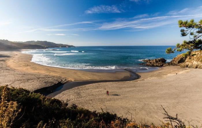 El PP filtra un sondeo encargado por el PP que dice que el PP ganará las elecciones en Asturias