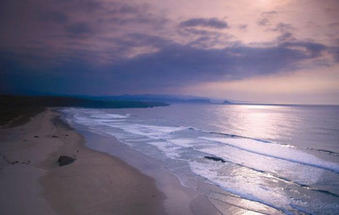 El PP filtra un sondeo encargado por el PP que dice que el PP ganará las elecciones en Asturias