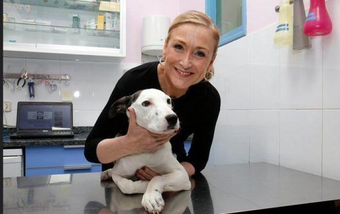 Cifuentes: "No me gusta la política que se está haciendo, no me gusta la clase política en general"