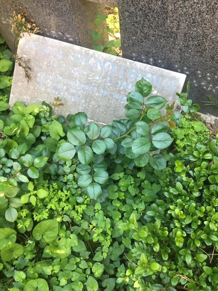 La reseña que un español dejó en Google sobre un club de striptease ya es HISTORIA de Twitter