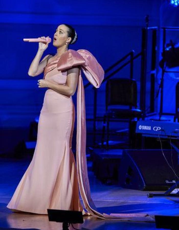 La foto de una irreconocible Katy Perry que enternece a las redes