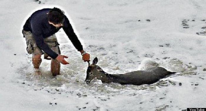 Canta la canción en lengua de signos para que sus padres, sordos, la entiendan (VÍDEO)