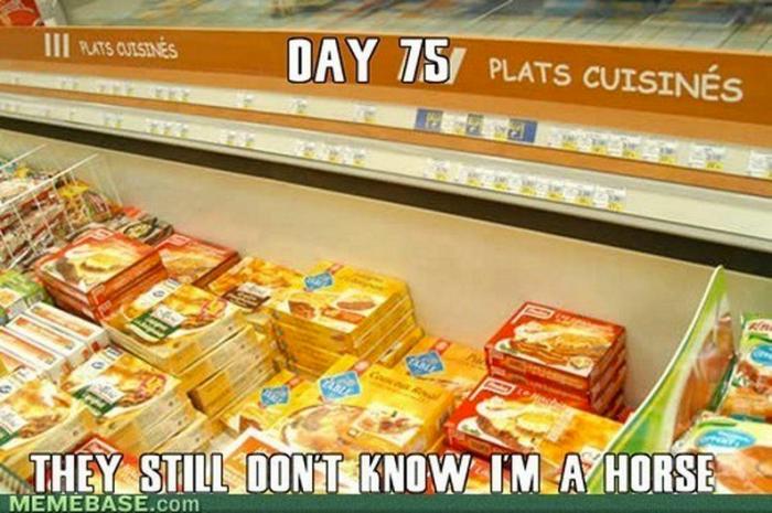 Camuflajes absurdos: no sospechan... ¡nada! (FOTOS)