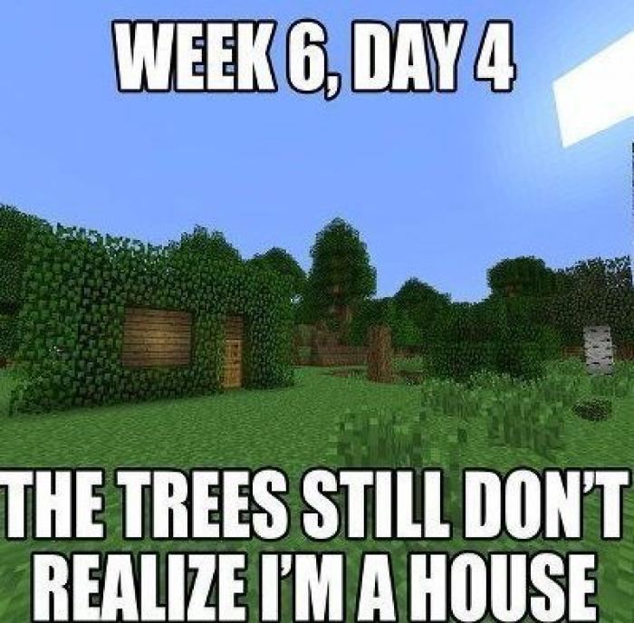 Camuflajes absurdos: no sospechan... ¡nada! (FOTOS)