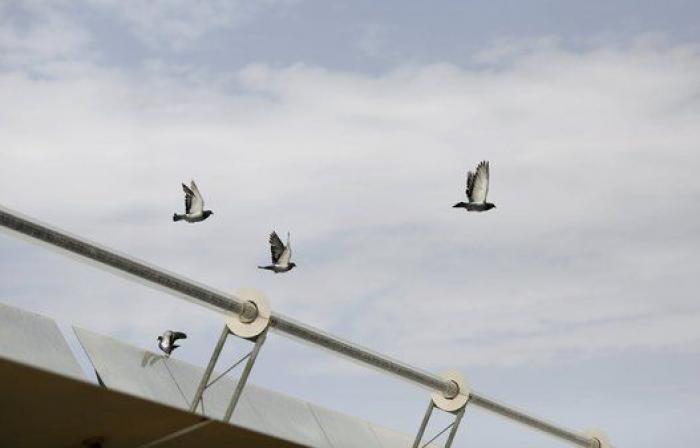 La planta solar de Andasol en Granada conquista a la Agencia Reuters