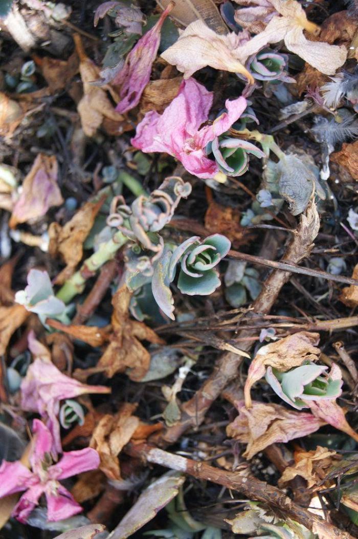 Un preso en tercer grado salva la vida a una niña que quería arrojarse al vacío en Guipúzcoa