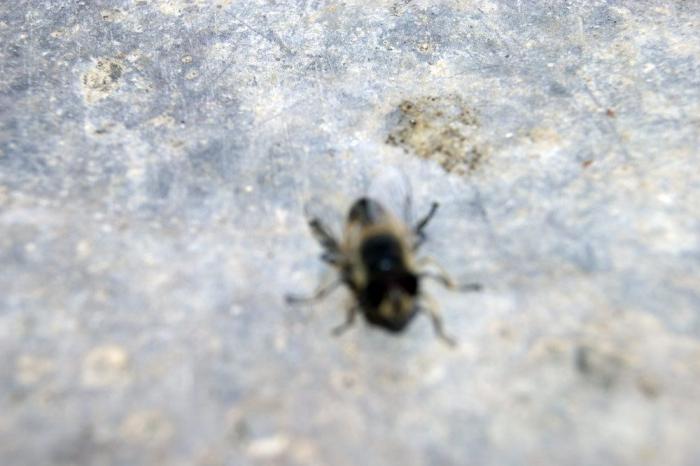 Un preso en tercer grado salva la vida a una niña que quería arrojarse al vacío en Guipúzcoa