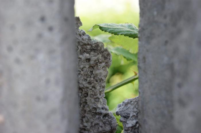 Un preso en tercer grado salva la vida a una niña que quería arrojarse al vacío en Guipúzcoa