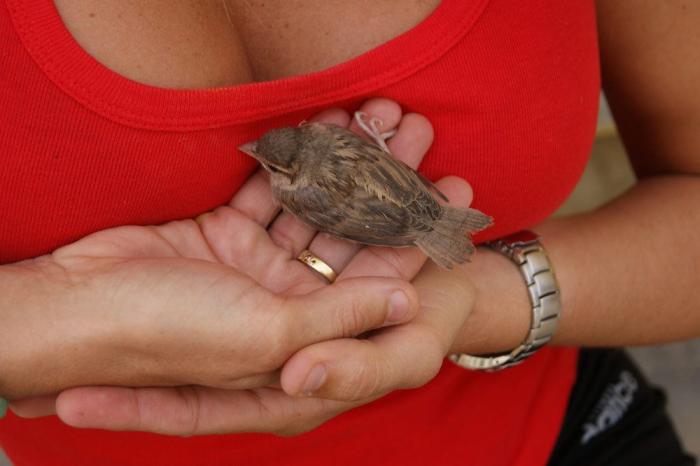 Un preso en tercer grado salva la vida a una niña que quería arrojarse al vacío en Guipúzcoa