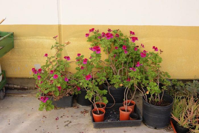 Un preso en tercer grado salva la vida a una niña que quería arrojarse al vacío en Guipúzcoa