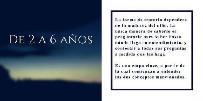 La Iglesia católica prohíbe esparcir las cenizas de los difuntos o tenerlas en casa