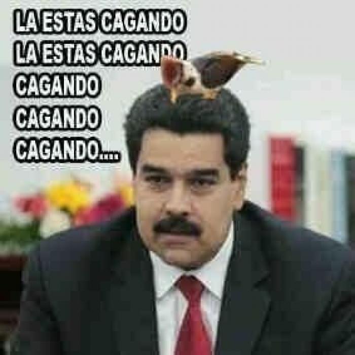 Venezuela suspende la decisión de expulsar a la embajadora de la UE