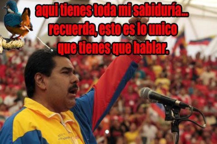 Venezuela suspende la decisión de expulsar a la embajadora de la UE