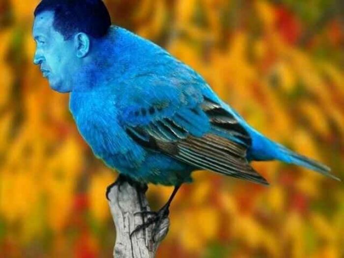 Venezuela suspende la decisión de expulsar a la embajadora de la UE