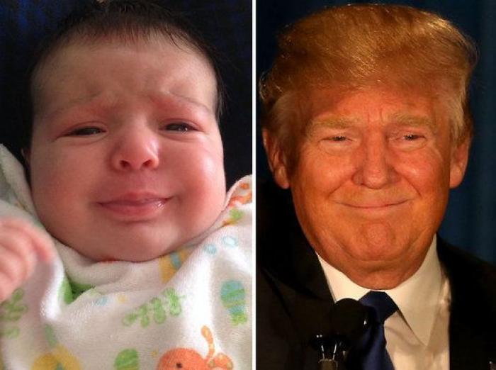 Trump pasó uno de cada cinco días de 2019 jugando al golf