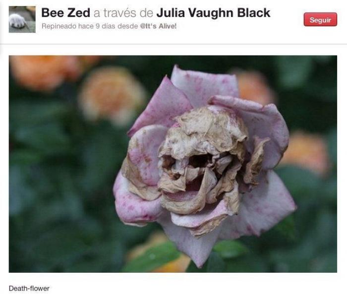 Caras en cosas que te miran en tu día a día (FOTOS)