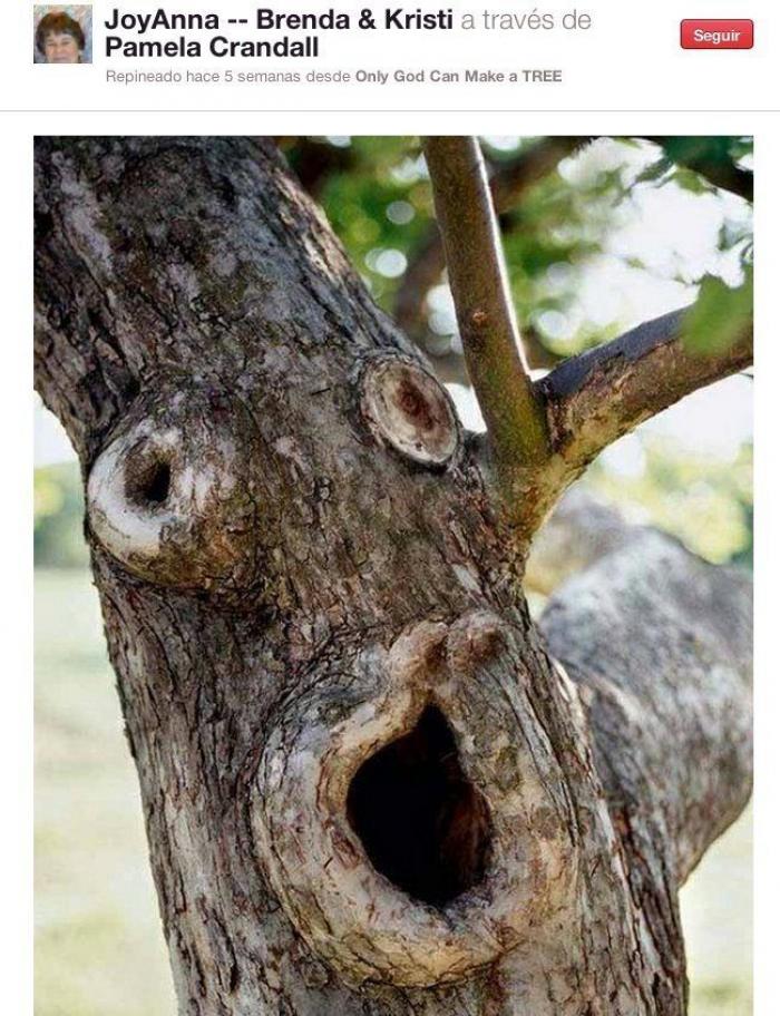 Caras en cosas que te miran en tu día a día (FOTOS)