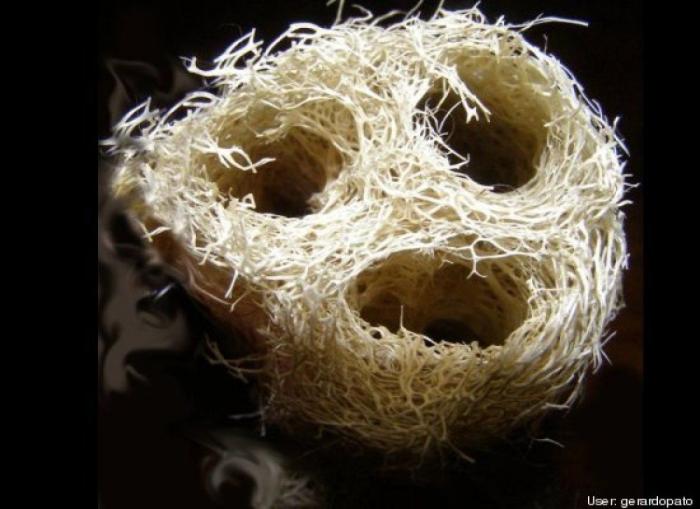 Caras en cosas que te miran en tu día a día (FOTOS)