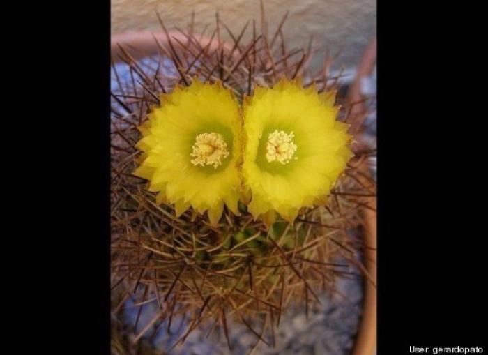 Caras en cosas que te miran en tu día a día (FOTOS)