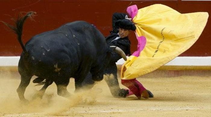 El mundo del toro convoca movilizaciones ante el "ninguneo" de Cultura