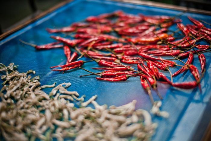 Barato y rápido: el truco definitivo para limpiar el microondas